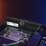 ADATA CUDIMM 16 GB DDR5-6400, Memoria 