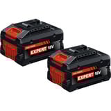 Bosch Batteria Expert EXBA18V-80, 2 pezzi Nero