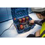 Bosch Batteria Expert EXBA18V-80, 2 pezzi Nero