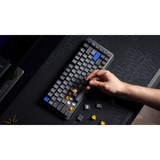 ENDORFY EY5D037, Tastiera da gioco grigio