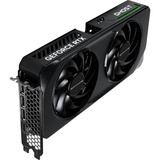 Gainward NE7506TU19T1-GB2061B, Scheda grafica 