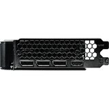 Gainward NE7506TU19T1-GB2061B, Scheda grafica 
