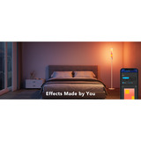 Govee H6078302, Luce LED 