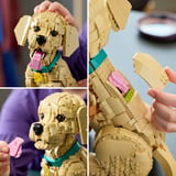 LEGO Icone cucciolo di Golden Retriever, Giochi di costruzione 