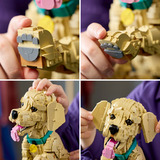 LEGO Icone cucciolo di Golden Retriever, Giochi di costruzione 