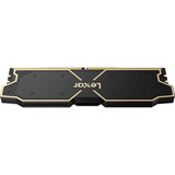 Lexar LD5U16G60C38BG-RGD Nero