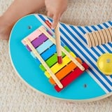 Mattel HXT91 giocattolo musicale, Giocattoli musicali Strumento musicale giocattolo, Piatto, Xilofono, 2 anno/i, 795 g, Multicolore