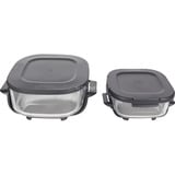 Ninja CRISPi 4-in-1 friggitrice ad aria calda portatile in vetro "Salbei" grigio-verde/trasparente