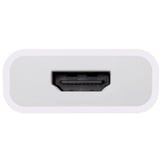 OWC Adattatore USB, connettore USB-C > presa HDMI 4K bianco