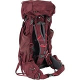 Osprey 10004780, Zaino viola