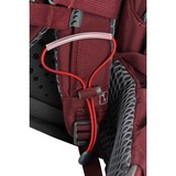 Osprey 10004780, Zaino viola