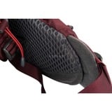 Osprey 10004780, Zaino viola