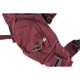 Osprey 10004780, Zaino viola