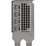 PNY VCNRTX4000ADALP-SB, Scheda grafica Vendita al dettaglio