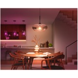 Philips Hue Philips Hue White and Color Ambiance Lampadina Smart E27 100 W Philips Hue White and Color ambiance Lampadina Smart E27 100 W, Lampadina intelligente, Bianco, Bluetooth/Zigbee, LED, E27, 2000 K