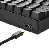 Sharkoon SGK50 S4 tastiera USB QWERTY Portoghese Nero, Tastiera da gioco Nero, 60%, USB, QWERTY, LED RGB, Nero