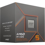 AMD 100-100000931BOX boxed