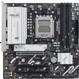 ASUS 90MB1J20-M0EAY0, Scheda madre 