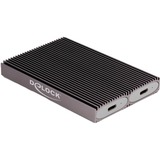 DeLOCK 42028, Disk enclosure grigio