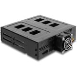 DeLOCK Telaio rimovibile 5,25″ per 6 x 2,5″ HDD / SSD SATA o SAS con serratura, Telaio di montaggio 