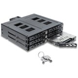 DeLOCK Telaio rimovibile 5,25″ per 6 x 2,5″ HDD / SSD SATA o SAS con serratura, Telaio di montaggio 