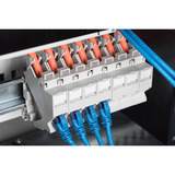Digitus Custodia Keystone per montaggio su guida DIN, IP20, Housing bianco
