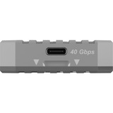 ICY BOX 61113, Disk enclosure argento