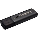 Kingston IronKey Locker+ 50 G2 256 GB, Chiavetta USB antracite