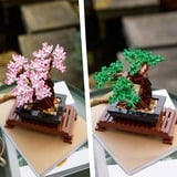 LEGO Creator Expert Albero Bonsai, Giochi di costruzione Set da costruzione, 18 anno/i, Plastica, 878 pz, 740 g