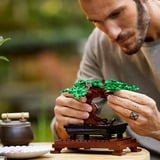 LEGO Creator Expert Albero Bonsai, Giochi di costruzione Set da costruzione, 18 anno/i, Plastica, 878 pz, 740 g