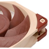 Noctua NF-A12x25 Case per computer Ventilatore 12 cm Beige, Marrone Ventilatore, 12 cm, 450 Giri/min, 1200 Giri/min, 12,1 dB, 55,7 m³/h