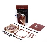 Noctua NF-A12x25 Case per computer Ventilatore 12 cm Beige, Marrone Ventilatore, 12 cm, 450 Giri/min, 1200 Giri/min, 12,1 dB, 55,7 m³/h