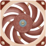 Noctua NF-A12x25 Case per computer Ventilatore 12 cm Beige, Marrone, Ventola Ventilatore, 12 cm, 450 Giri/min, 1200 Giri/min, 12,1 dB, 55,7 m³/h