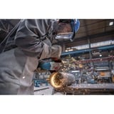 Bosch GWS 12-125 P Professional, 06013A6106, Smerigliatrice angolare blu