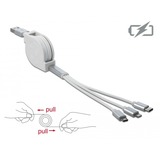 DeLOCK 85850 cavo USB 0,98 m USB 2.0 USB A USB C/Micro-USB B/Lightning Argento, Bianco bianco/Argento, 0,98 m, USB A, USB C/Micro-USB B/Lightning, USB 2.0, Argento, Bianco