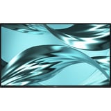 Dell Pro P2426HWOST (senza supporto), Monitor LED Nero