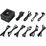 FSP PPA10A3610, Alimentatore PC 
