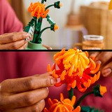 LEGO 10368, Giochi di costruzione 