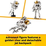 LEGO 31152, Giochi di costruzione 