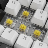 Sharkoon SKILLER SGK50 S3, Tastiera da gioco bianco