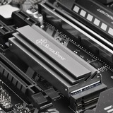 SilverStone SST-TP04, Dissipatore di calore argento