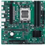 ASUS 90MB1EC0-M0EAYC, Scheda madre verde