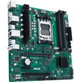 ASUS 90MB1EC0-M0EAYC, Scheda madre verde