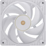 ASUS ProArt PF120, Ventola bianco
