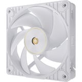 ASUS ProArt PF120, Ventola bianco