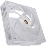 ASUS ProArt PF120, Ventola bianco