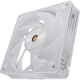 ASUS ProArt PF120, Ventola bianco