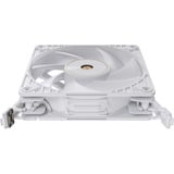 ASUS ProArt PF120, Ventola bianco