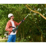 Bosch 06008B3101 motosega Nero, Verde, Potatore verde/Nero, 15 cm, 20 cm, 4 m/s, Nero, Verde, 60 L, Batteria