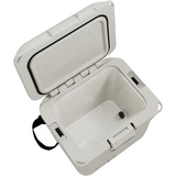 Coleman PRO 25QT, Scatola cool beige